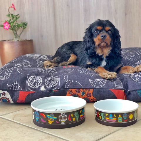 Mexican Skulls Large Bed and Skulls Ceramic Bowls