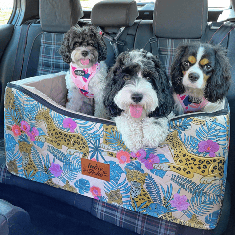 Leopard Luxe Double Booster Seat