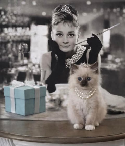 Lovlidolls Audrey Hepurrn