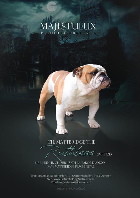 Ch. Mattbridge The Ruthless (Imp NZL)