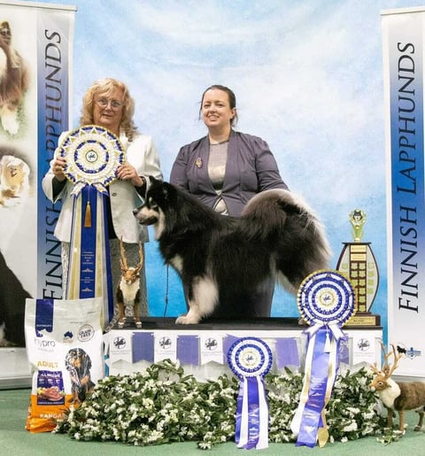 Anarchy winning Best in Show