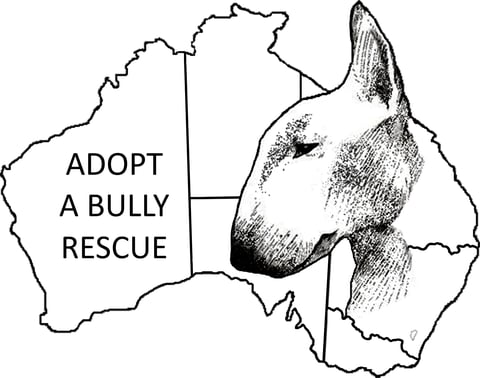 Adopt A Bully  Rescue Inc