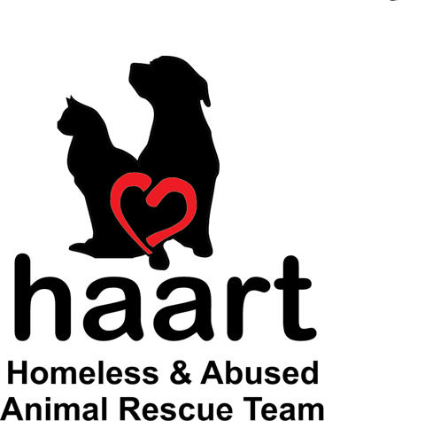 HAART