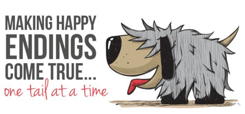 Mackay Animal Rescue Society 
