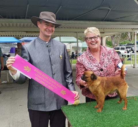 Confirmation Dog Show 