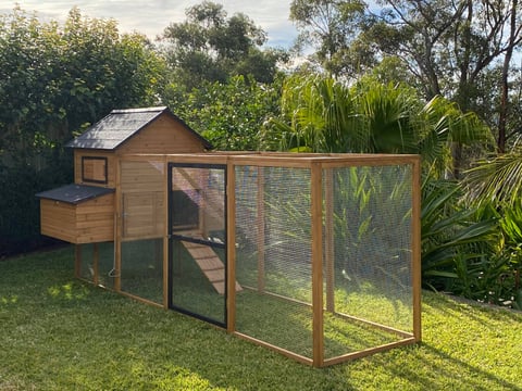 Cabana Chicken Coop and Run