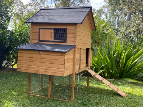 Cabana Chicken Coop with nesting box and ramp