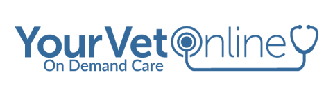 Your Vet Online - On Demand Care