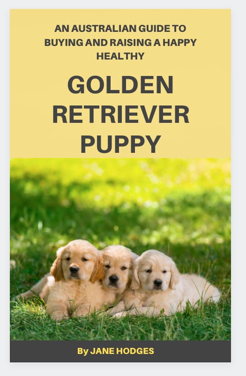 New Golden Retriever puppy book 