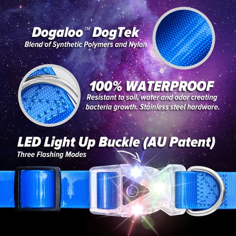 Our Patented Light Up Buckle