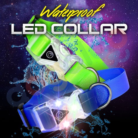 Light Up Waterproof Collars