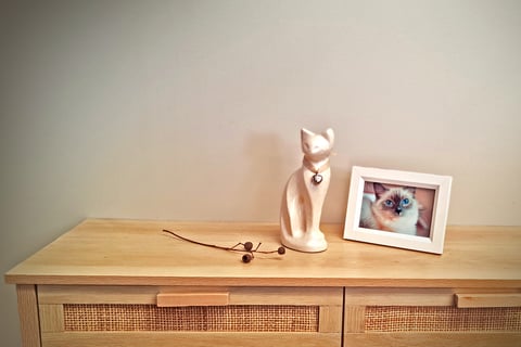 Urns & Memorials for your beloved cat