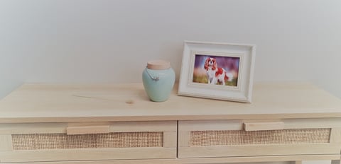 Urns & Memorials for your beloved dog