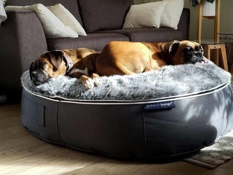 Original luxury dog beds by ambient lounge®