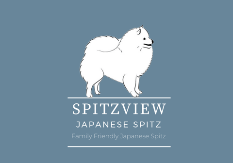 Spitzview Japanese Spitz