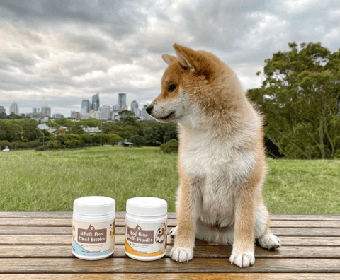 Mio's Nature for Dogs