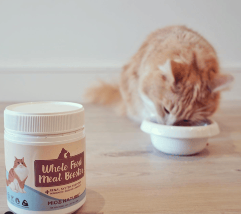 Mio's Nature for Cats