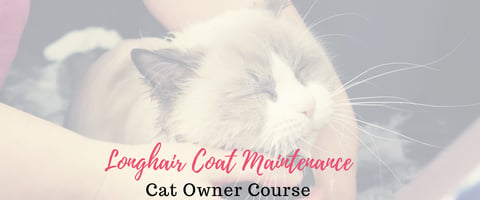 Longhair Coat Cat Maintenance Course