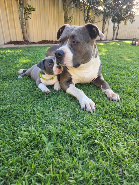 Tilly and granddaughter Mia