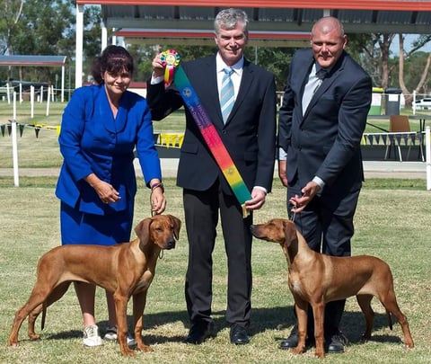 Juzrival Rhodesian Ridgebacks