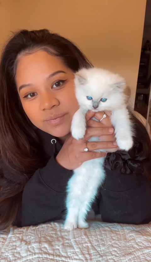Breeder Christel with a Lilac mitted girl