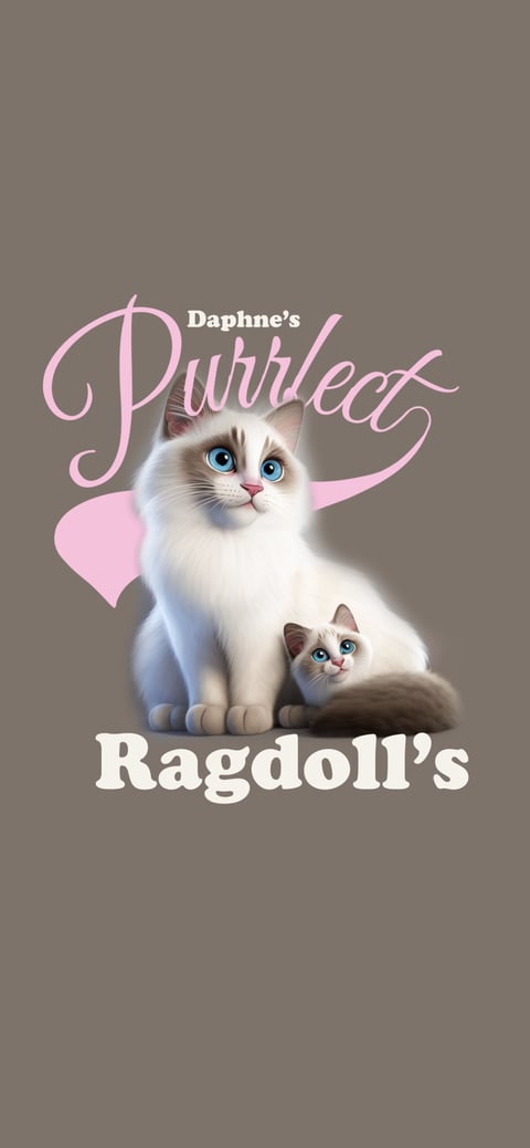 Daphne’s Purrfect Ragdolls