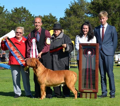 Grand Champion Charmeurouge Chief