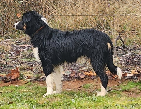 Nyx great grand daughter of Logan