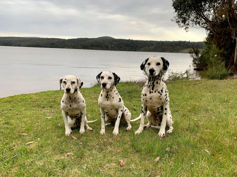 Juliette (grandma), Hope (mum) and Fred (son) 