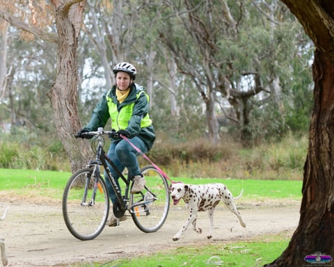 Nelly at her Endurance Trial