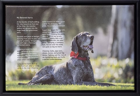 Pet memorial