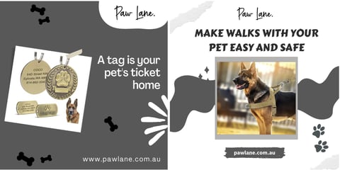 Pawlane - pet collars, tags,  harnesses and leads