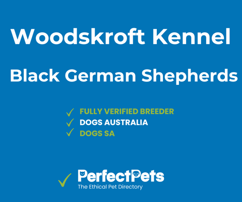 Woodskroft Kennel Black German Shepherds