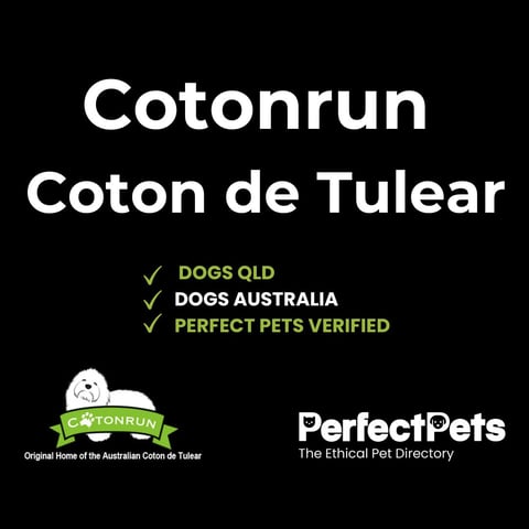 Cotonrun - fully verified Dogs QLD breeder 