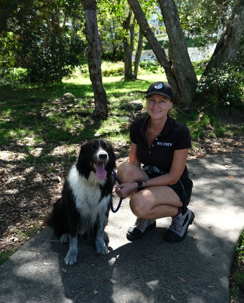 K9 Concierge - Northern Beaches, Sydney