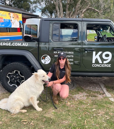 K9 Concierge - Northern Beaches, Sydney