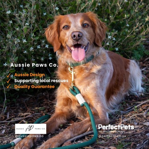 Aussie Paws Co. Dog Collars, Leads & Accessories