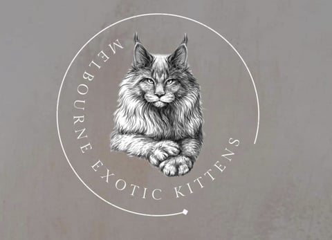 Exotickitz Maine Coons