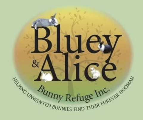 The Bluey & Alice Bunny Refuge