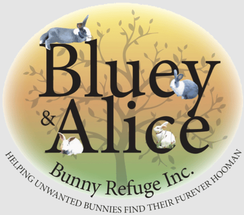 The Bluey & Alice Bunny Refuge