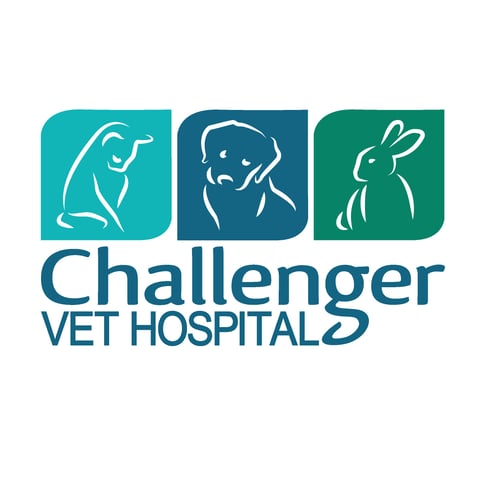 Challenger Vet Kwinana Logo