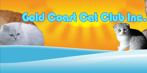 Gold Coast Cat Club