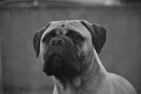 profile (2)