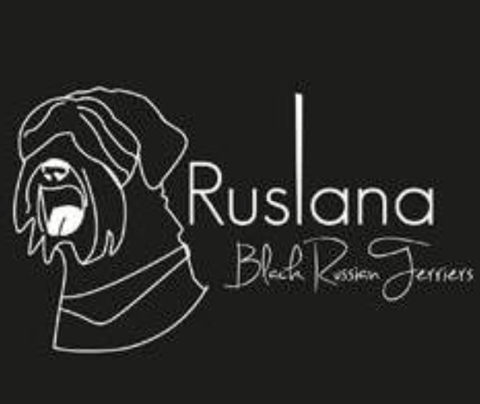 Ruslana Black Russian Terriers