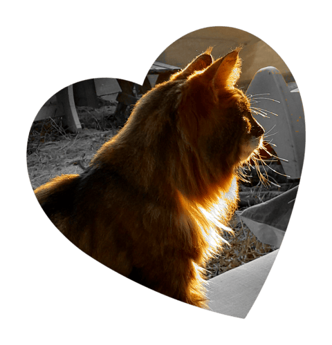 I wonder if she knew...