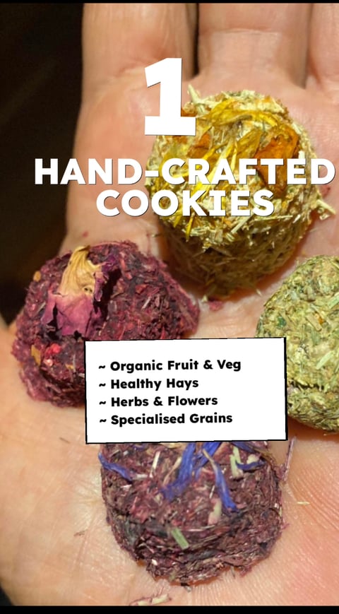 Hand Crafted - Bio Bunny Bites