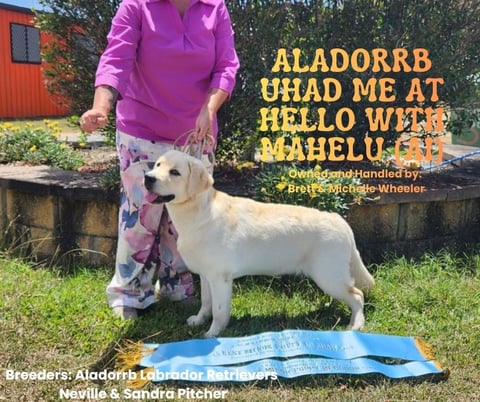 Aladorrb UHad Me At Hello With Mahelu (AI)