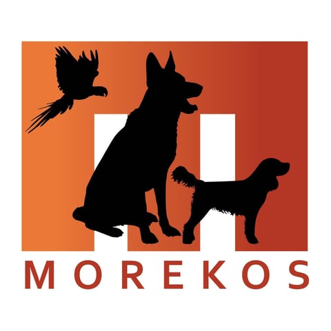 MOREKOS Working German Shepherd Dogs