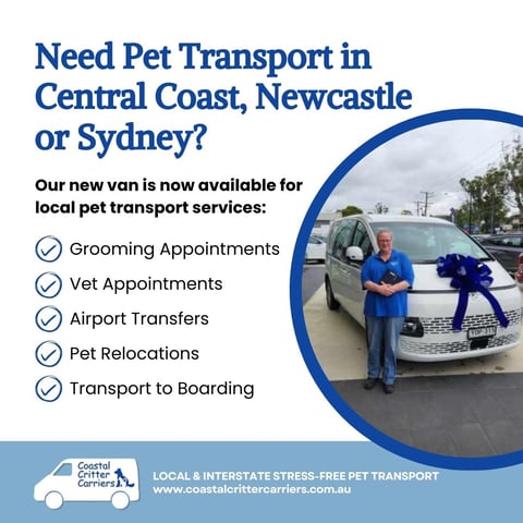 Central Coast, Newcastle & Sydney Pet Transport Se