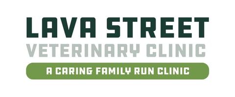 Lava Street Veterinary Clinic - Raglan Parade, War